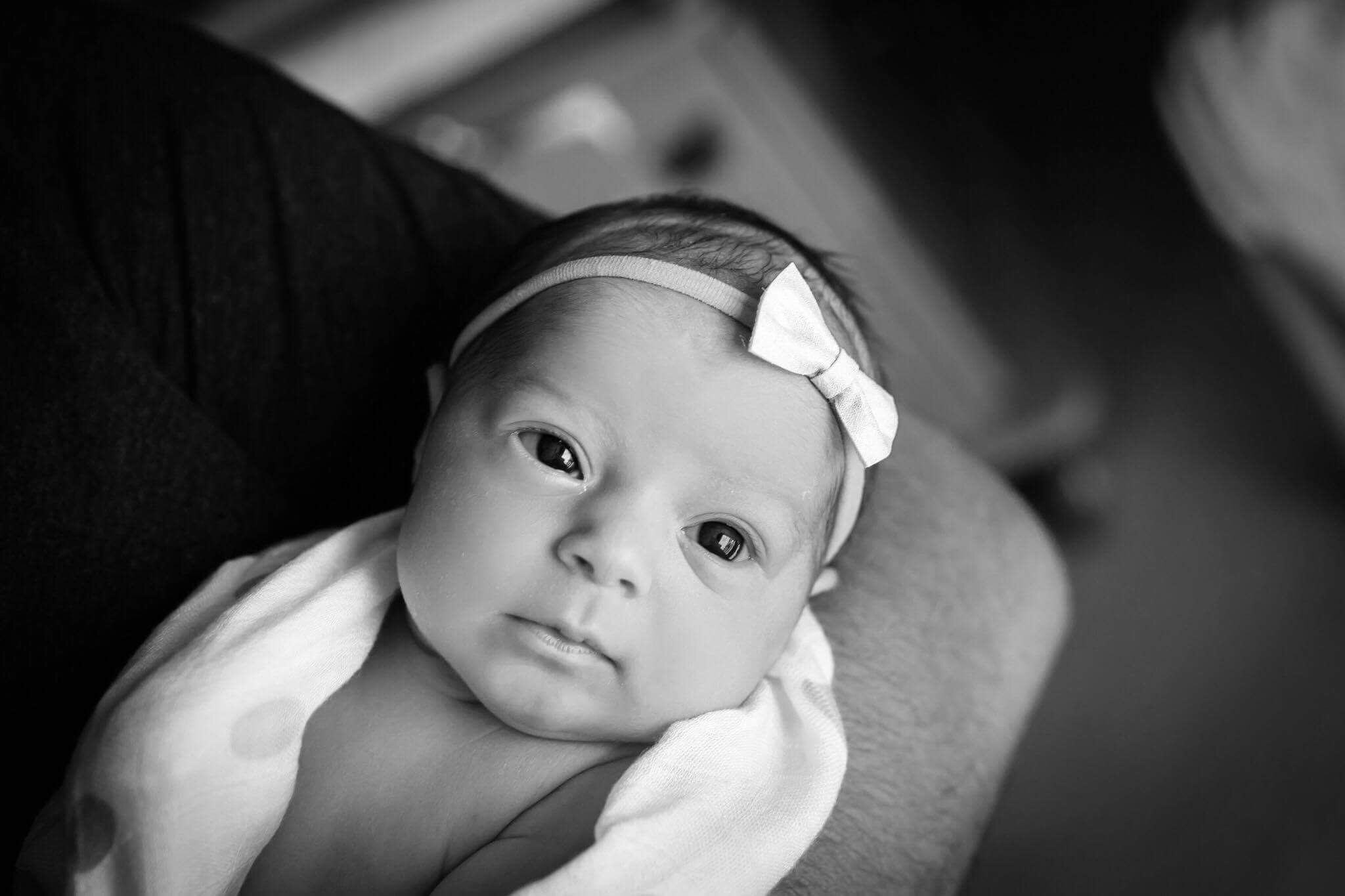 Meet Pyper