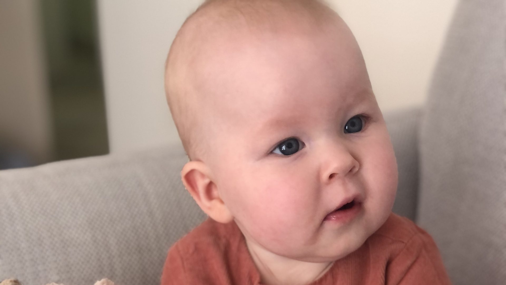 Baby Save Stevie