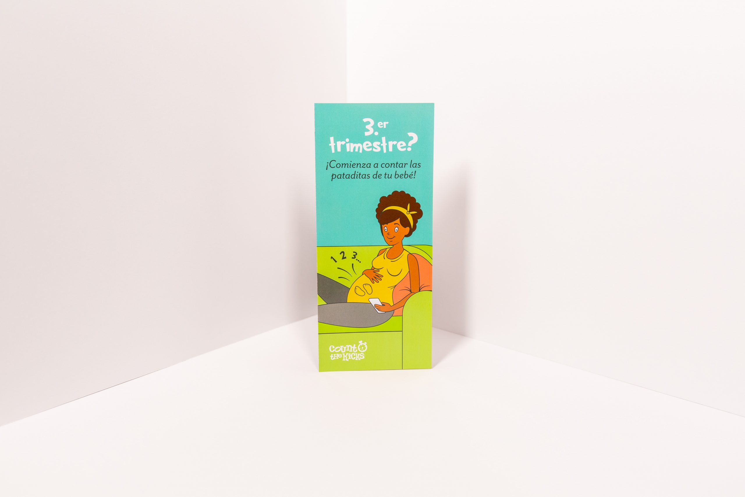 At-a-Glance Brochure (Spanish) – WI
